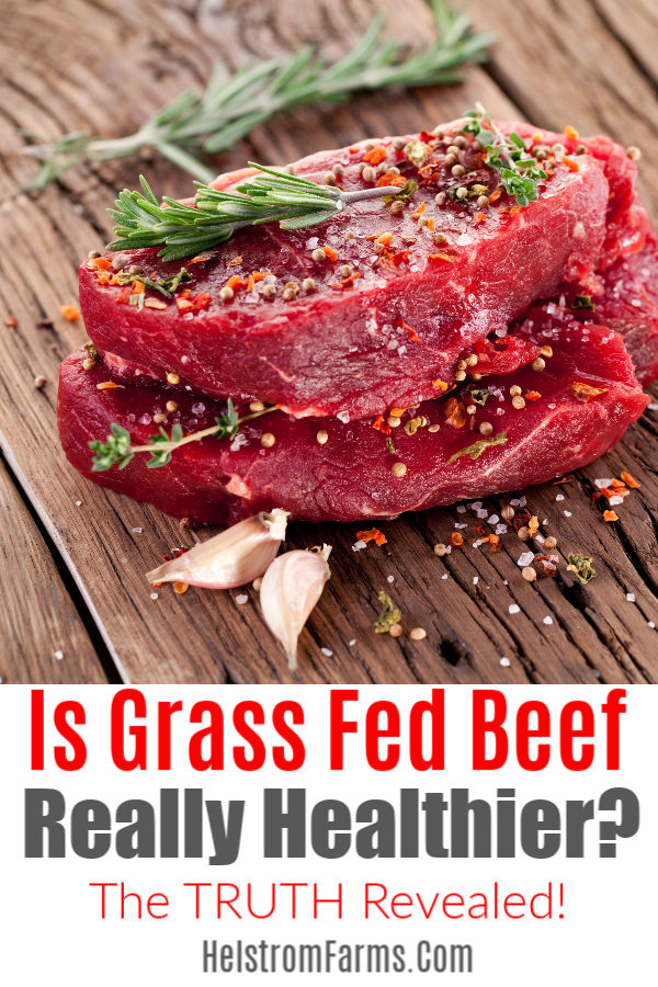 Grass-Fed vs. Grass-Finished Beef: What's the Difference?