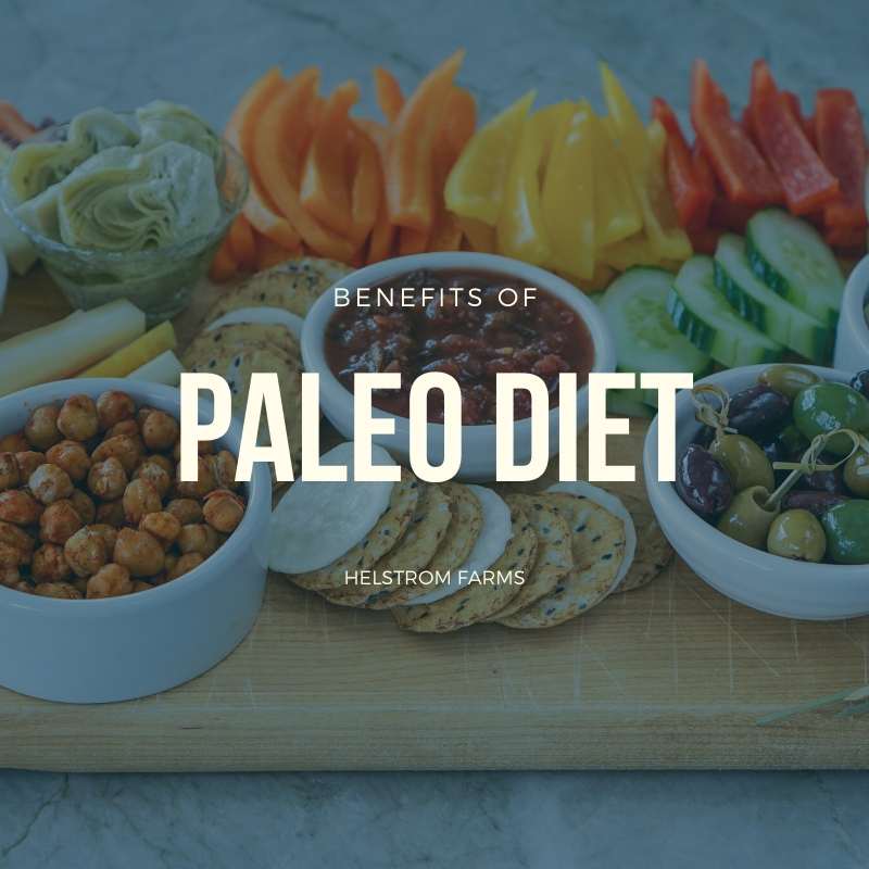 paleo diet food list